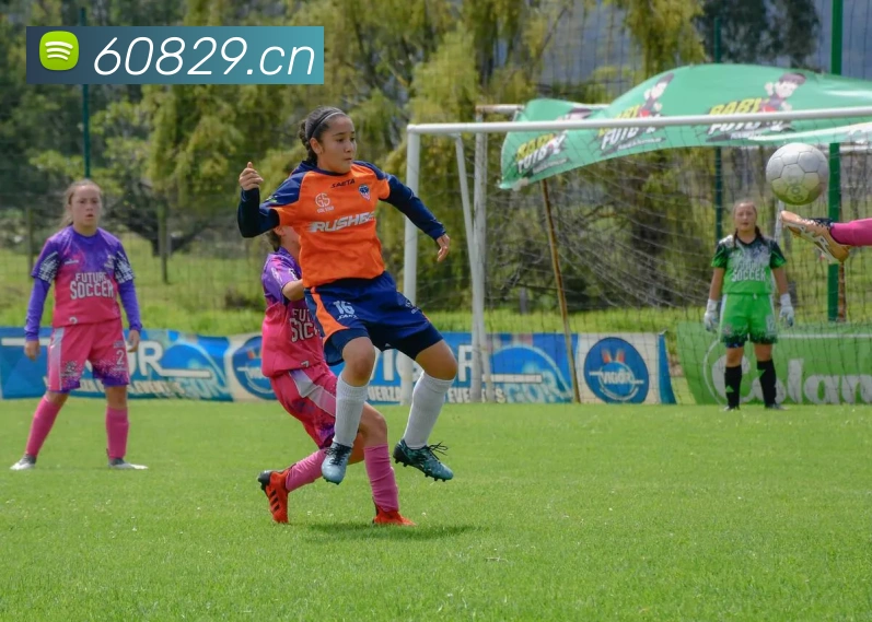 球盟会登录地址平台生态图